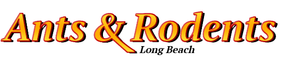 Long Beach Ant Exterminator & Rodent Control Company Logo